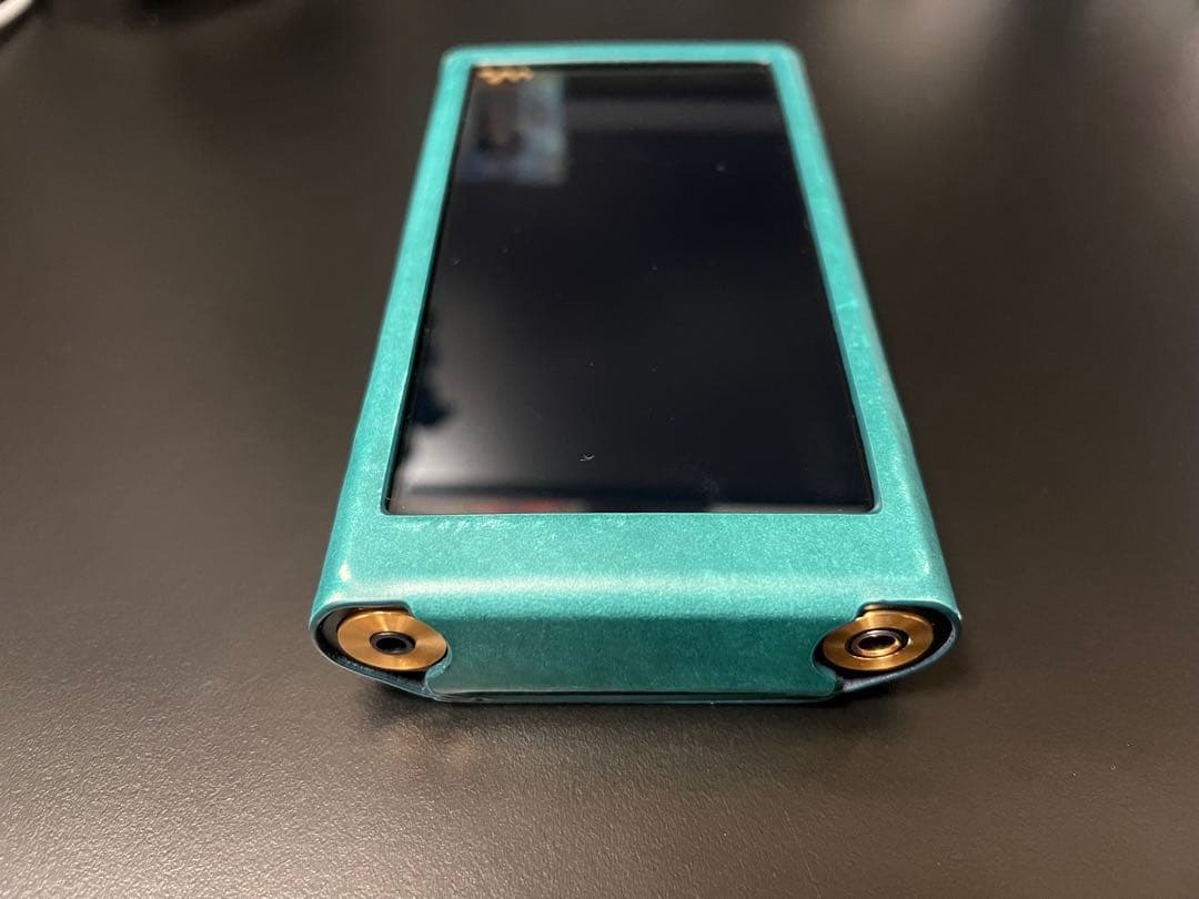 か*ん様 SONY NW-WM1AM2 (ケース+SDカード512GB付き)