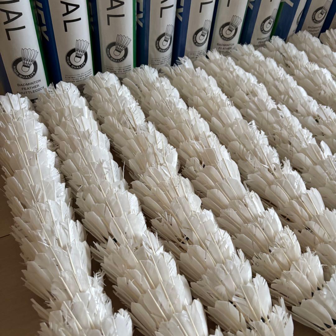 ヨネックスニューオフィシャルノックシャトル 165球30球色々195球