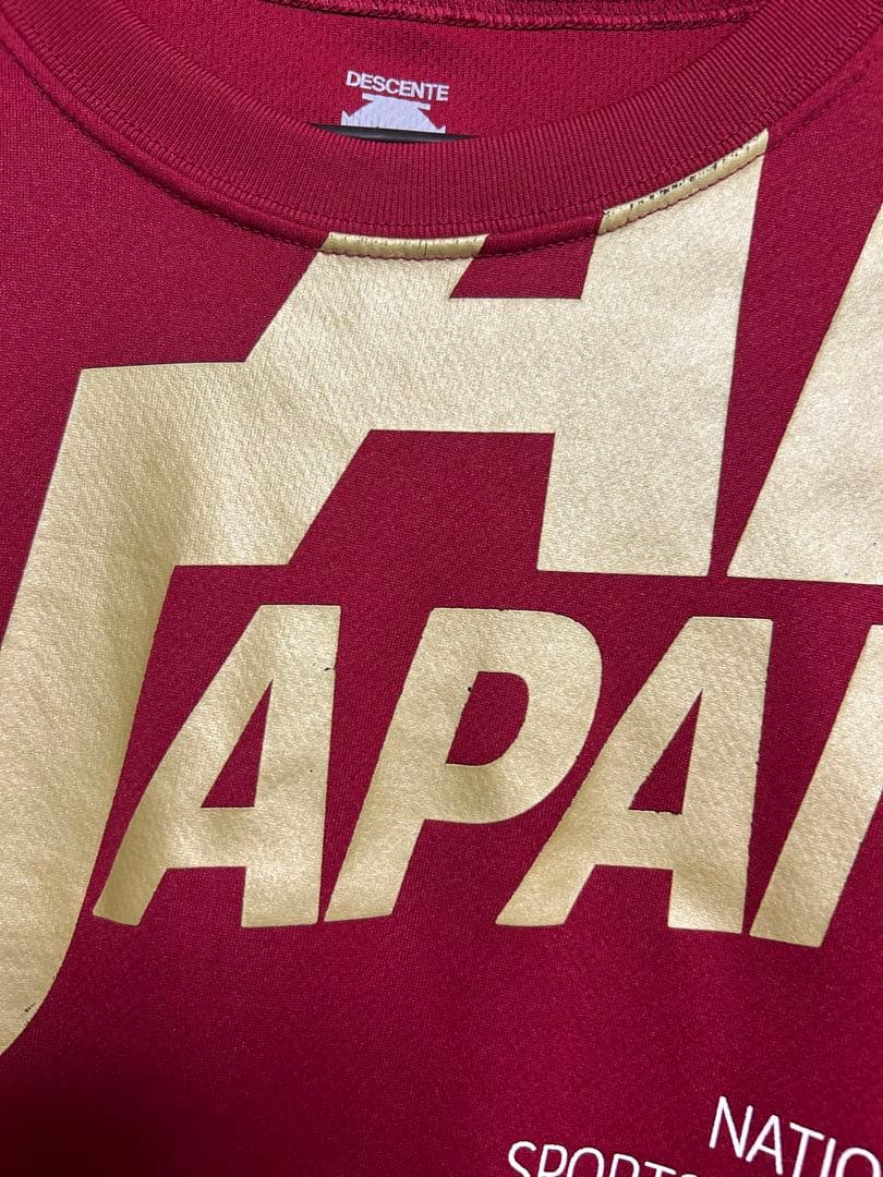 バレーボールTシャツ エンジ