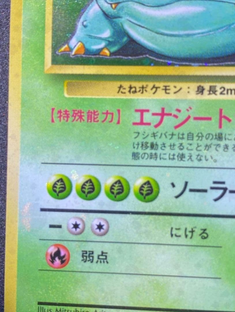 【ars8】フシギバナ　旧裏　全面ホロ　渦巻き　十字　モンボ