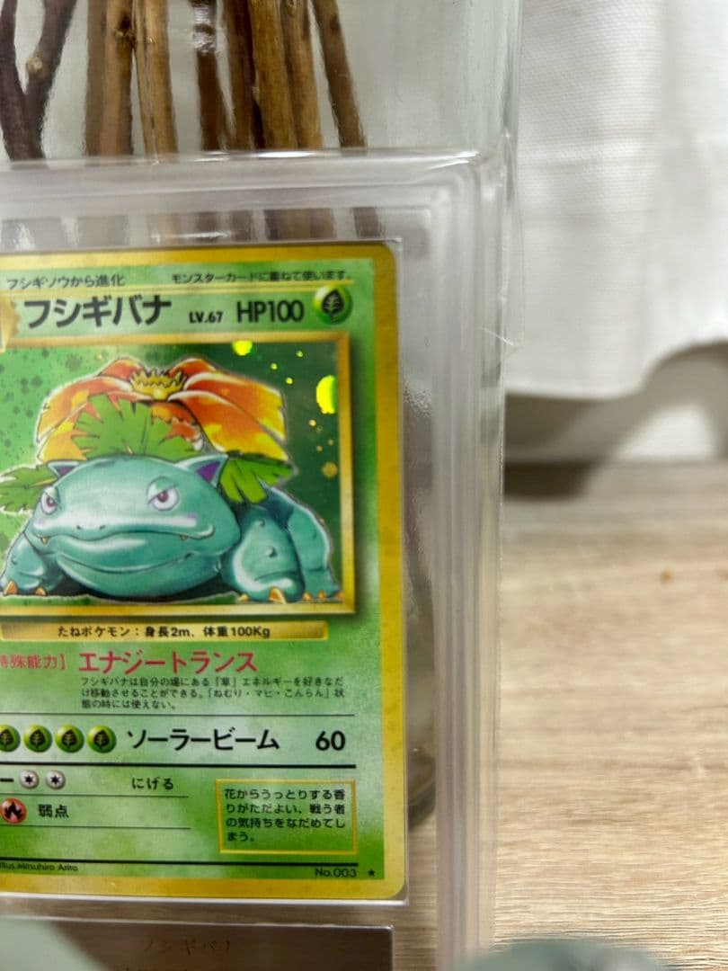 【ars8】フシギバナ　旧裏　全面ホロ　渦巻き　十字　モンボ