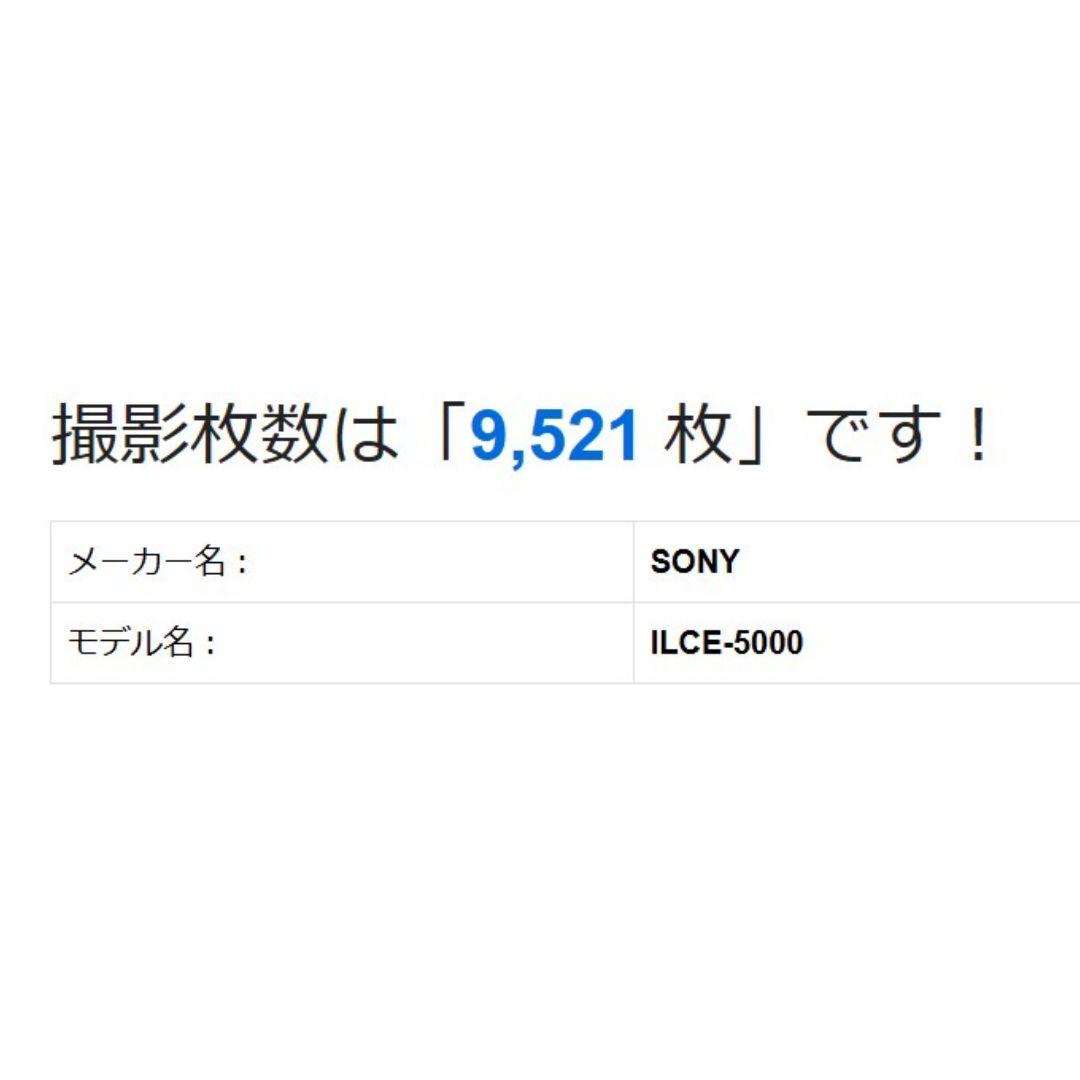 ❤即購入1000円OFF❤ SONY α5000 手振れ補正レンズ Wi-Fi