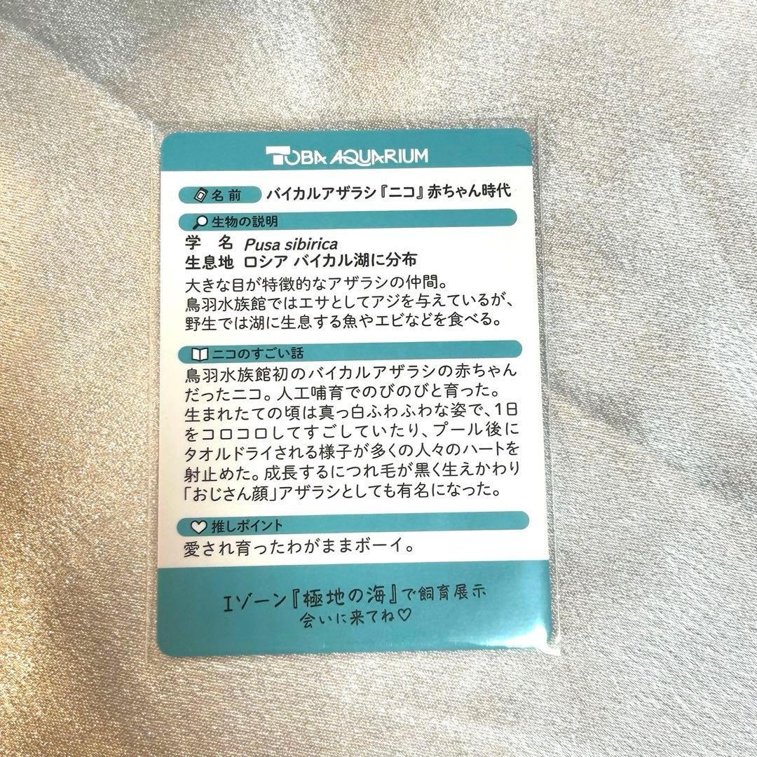 ニコちゃん レアカード 鳥羽水族館 コレカ アザラシ コレクションカード