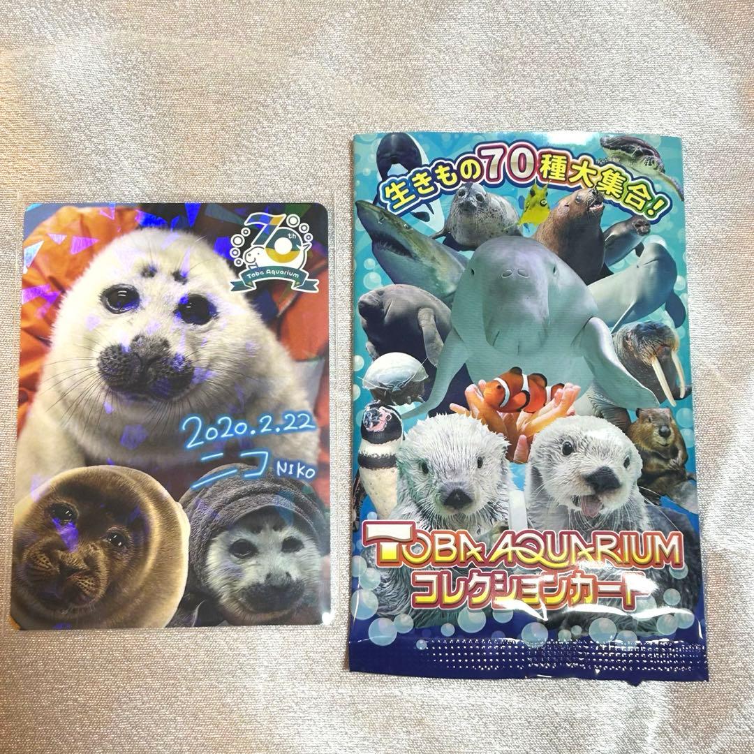 ニコちゃん レアカード 鳥羽水族館 コレカ アザラシ コレクションカード