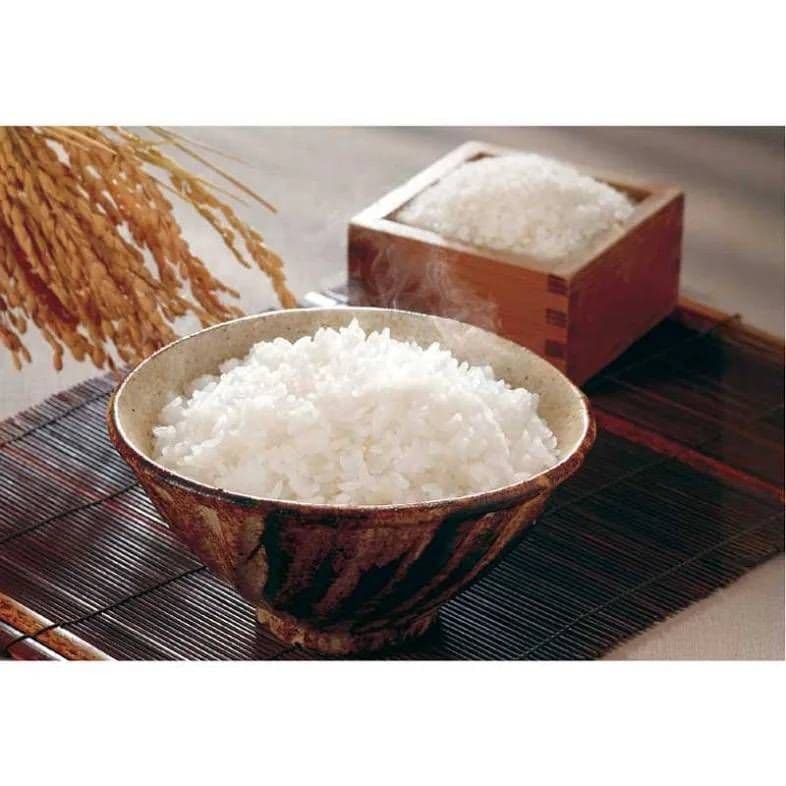 新之助米 5kg 2袋セット