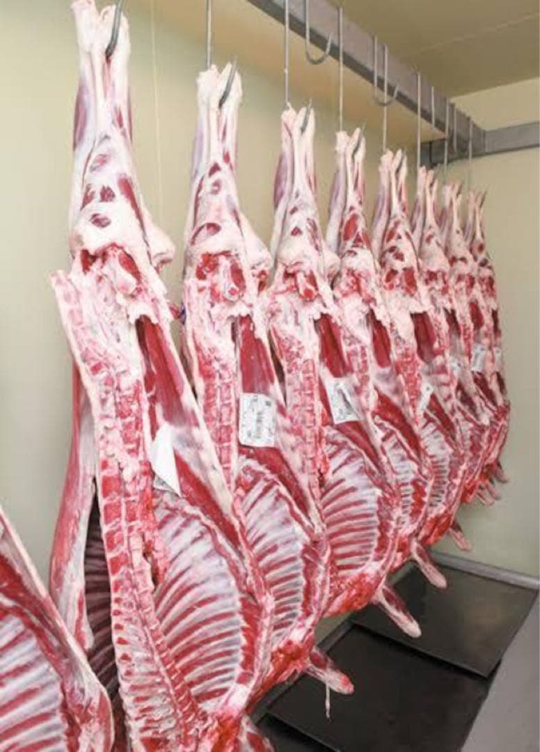 北海道 サフォーク 羊肉 一頭売り