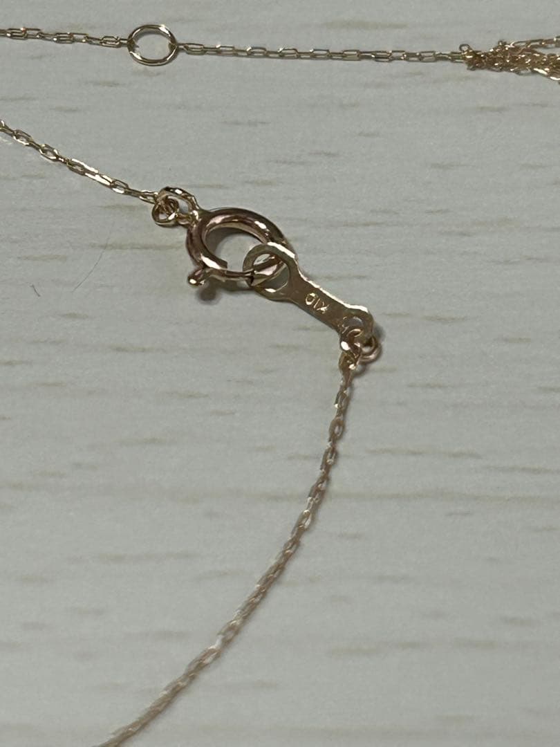 TSUTSUMI ガーネットネックレス