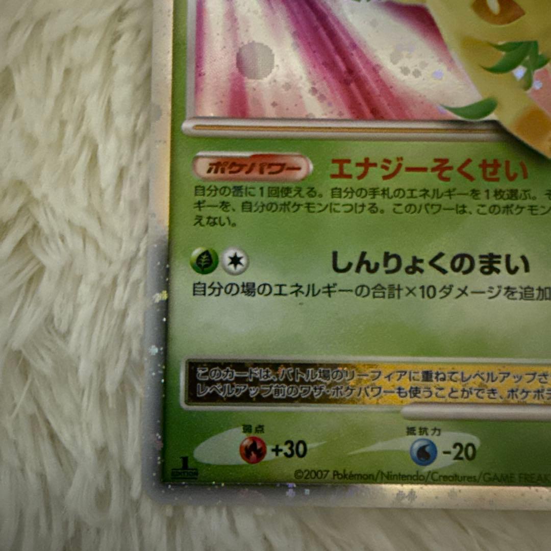 リーフィア X & グレイシア X セット