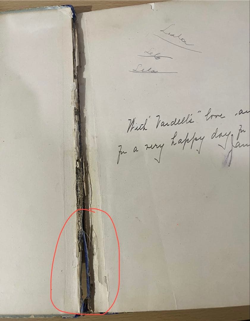 N o.429 入手困難 超希少 アンティーク 洋書 絵本 ビクトリアン 児童書