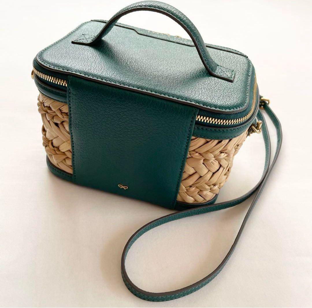 アニヤハインドマーチ　カゴバック　バニティ