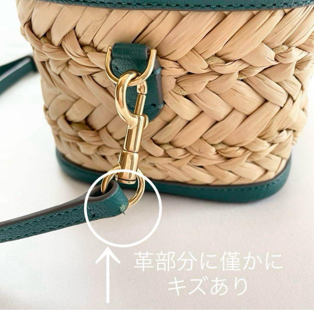 アニヤハインドマーチ　カゴバック　バニティ