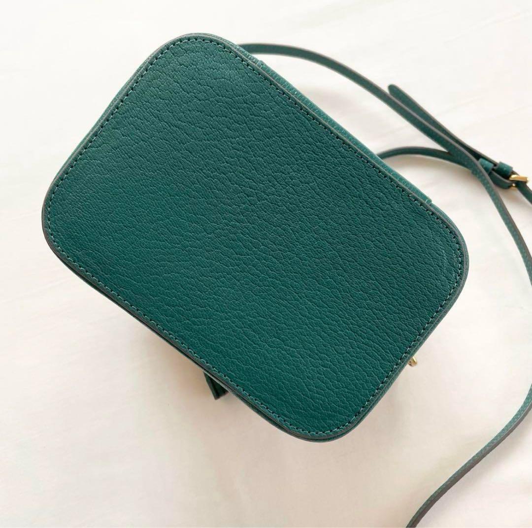 アニヤハインドマーチ　カゴバック　バニティ