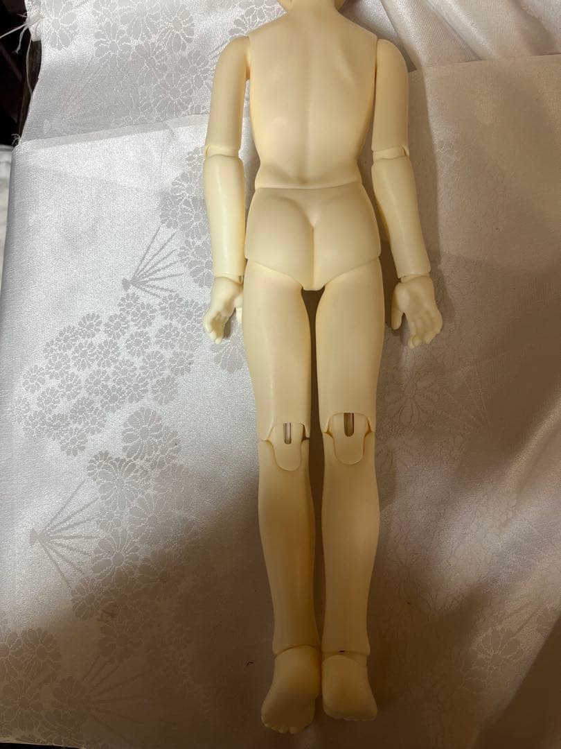 ボークス　コーディネートモデル　F 43SDM女の子