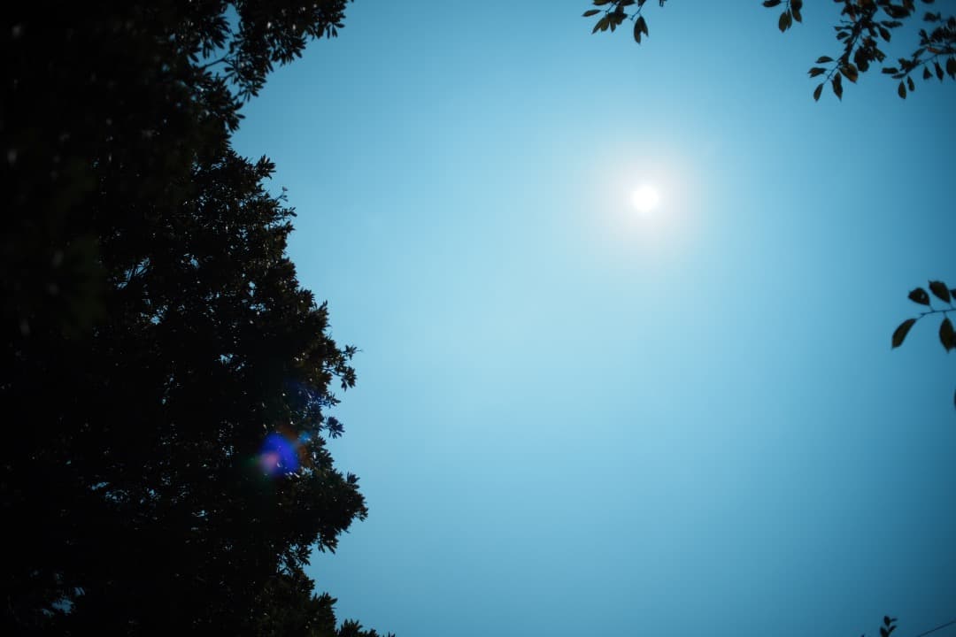 【整備＆テスト済】Nikon Ai Nikkor 35mm F2 ニコン 500