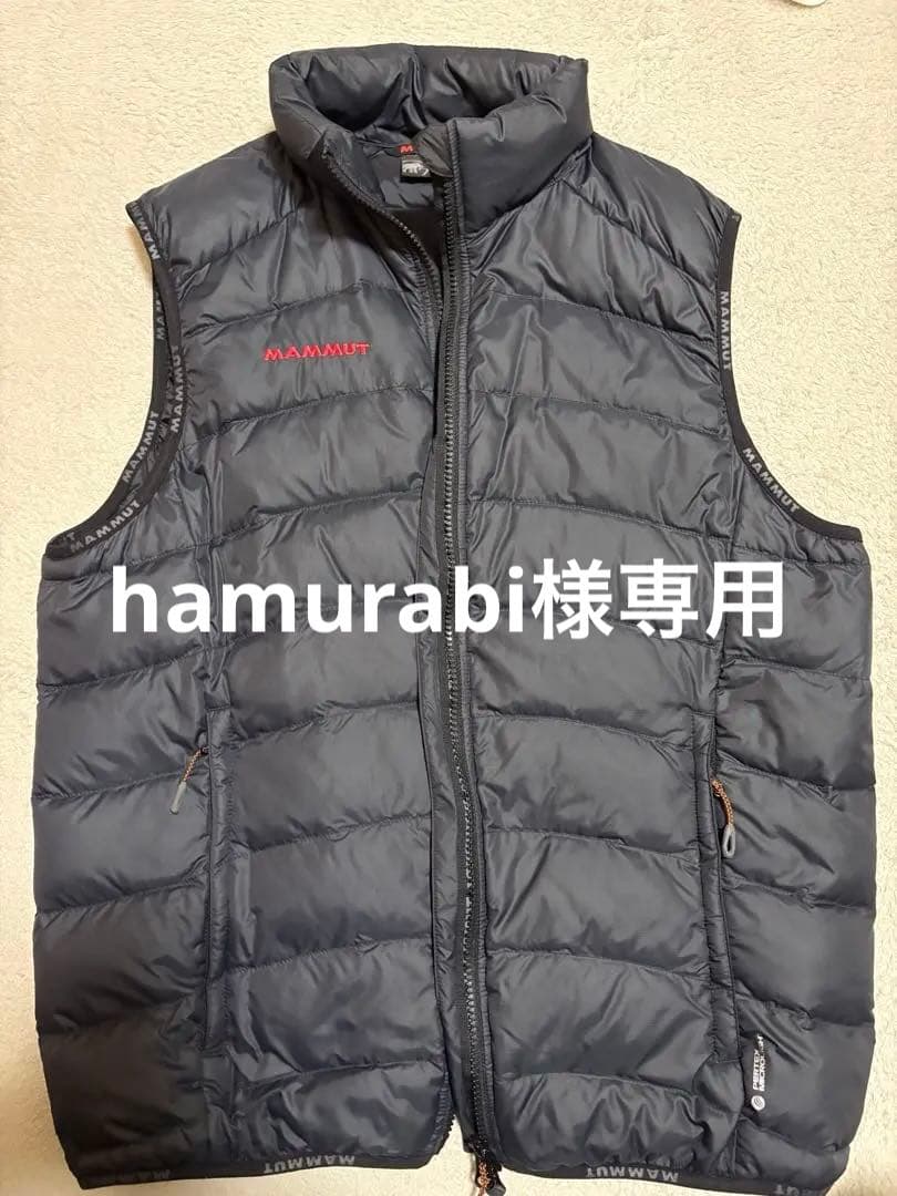 MAMMUT FREEFLIGHT Down Vest メンズM