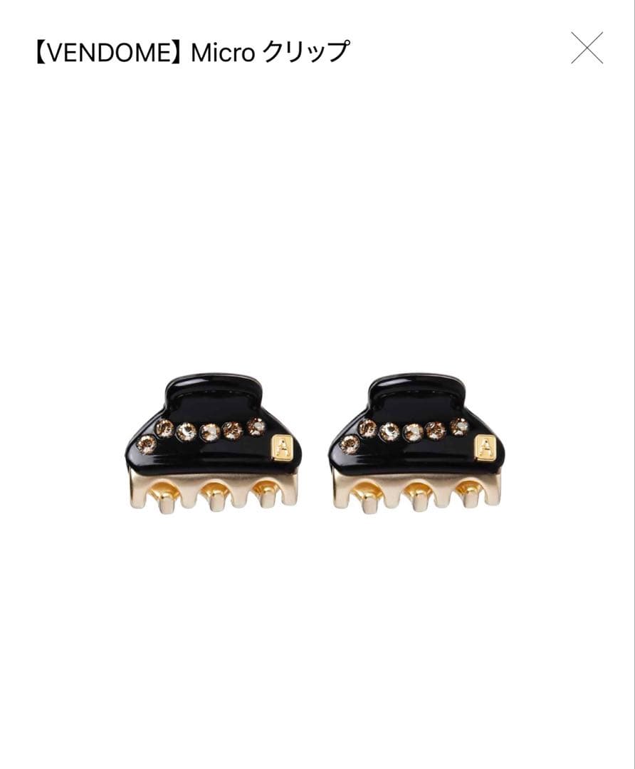 【新品未使用】ALEXANDRE DE PARIS マイクロクリップ ブラック