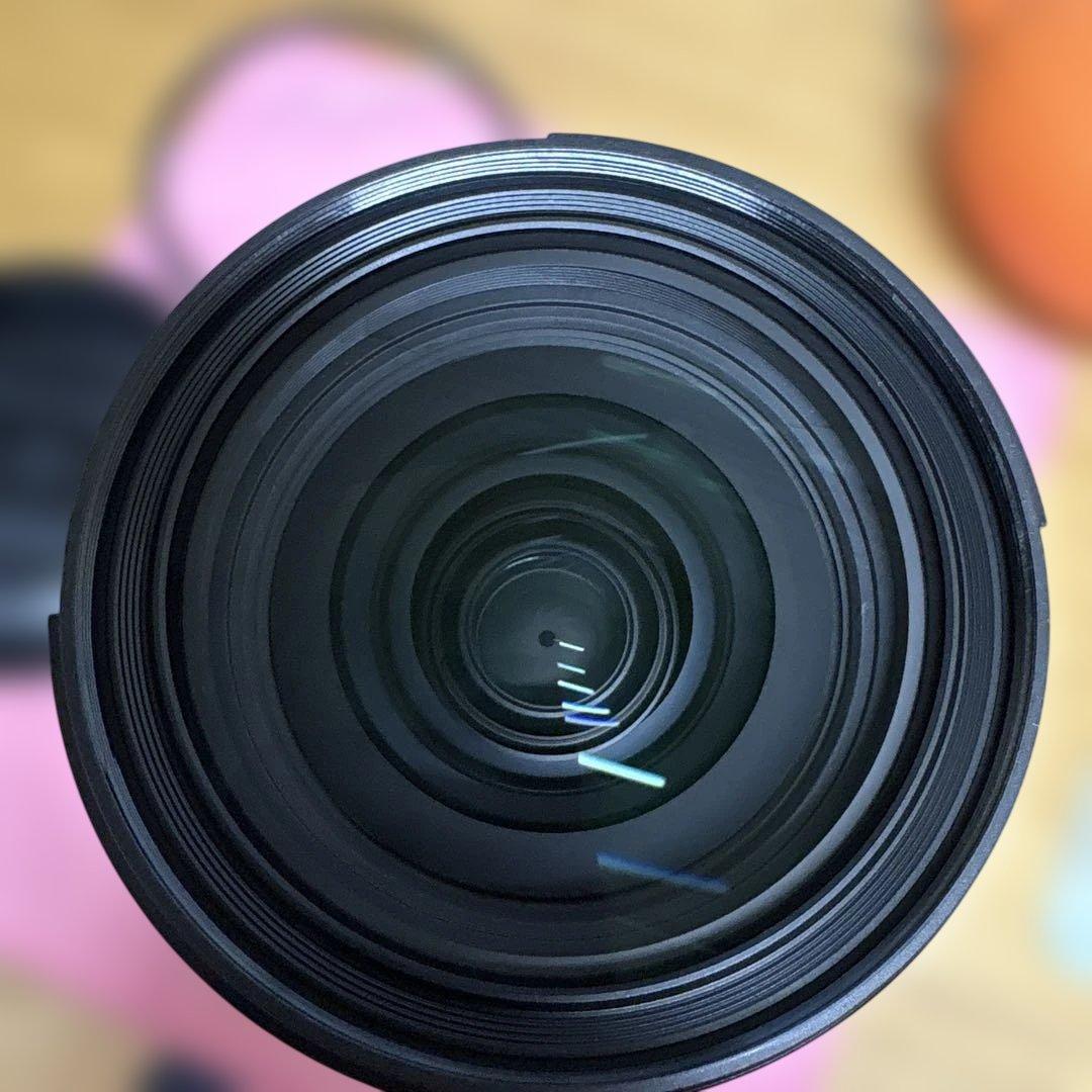 ウソップキャプテン様FE24-70mm F2.8 GM 2 SEL2470GM2