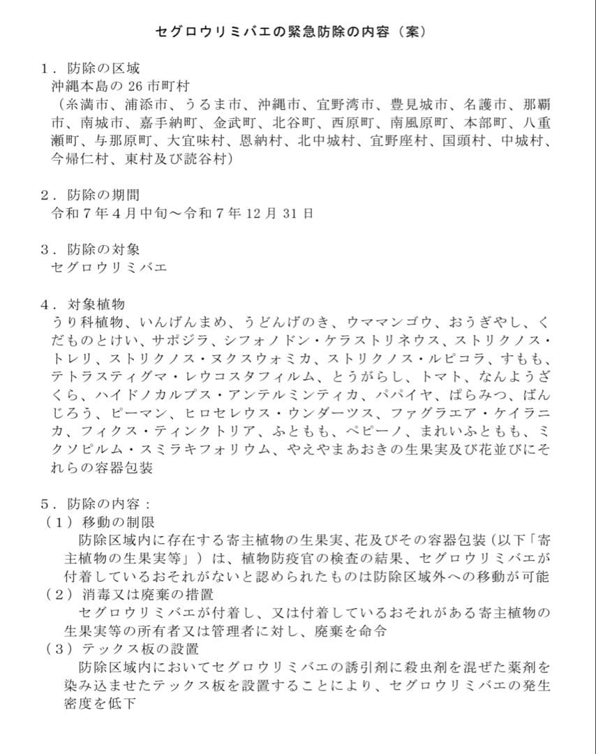 Rita55  宮古島産 ゴーヤー 8kg