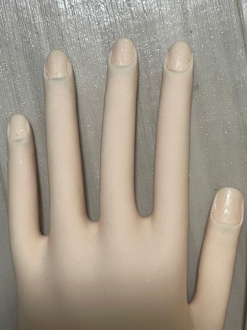 【最終値下げ】JNEC 認定モデルハンド(箱付き)