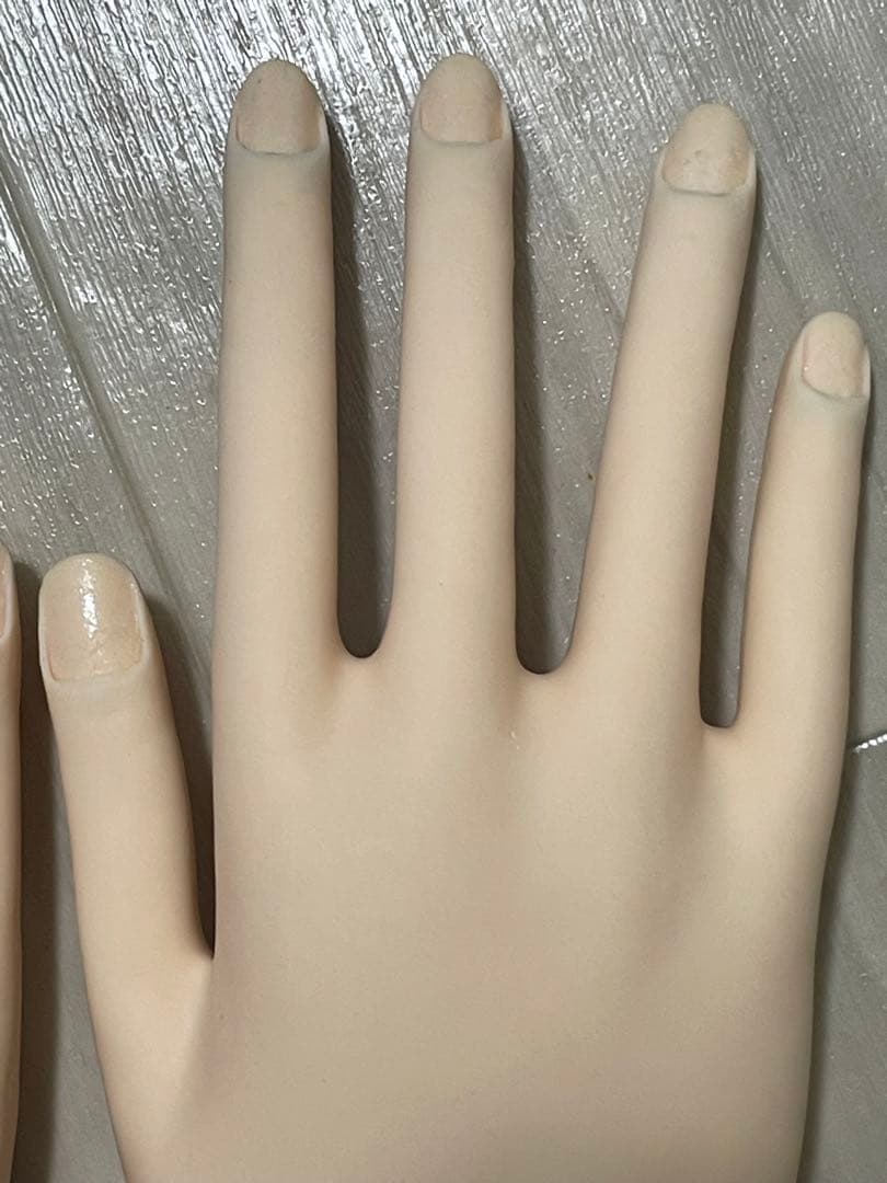 【最終値下げ】JNEC 認定モデルハンド(箱付き)