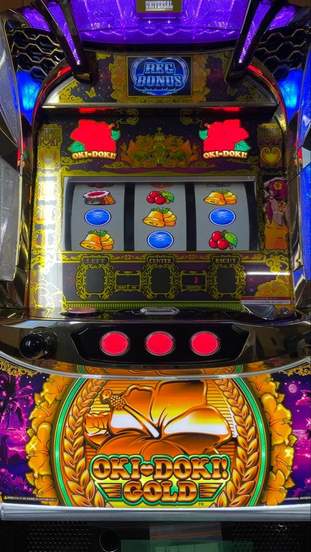 スロット　S沖ドキゴールドLS