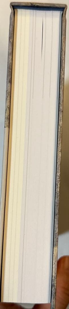 図録　松本俊介 回顧展 2020年　絶版