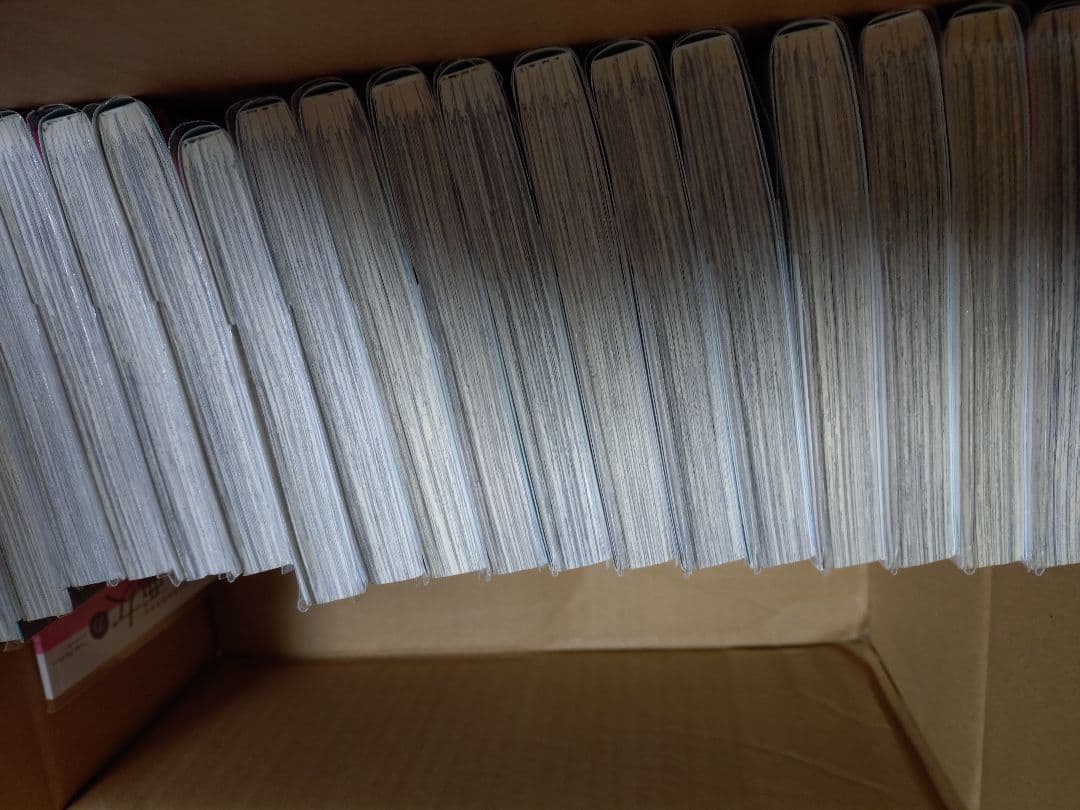 転生悪女の黒歴史　1〜16巻＋番外編1〜2巻特装版小冊子一冊