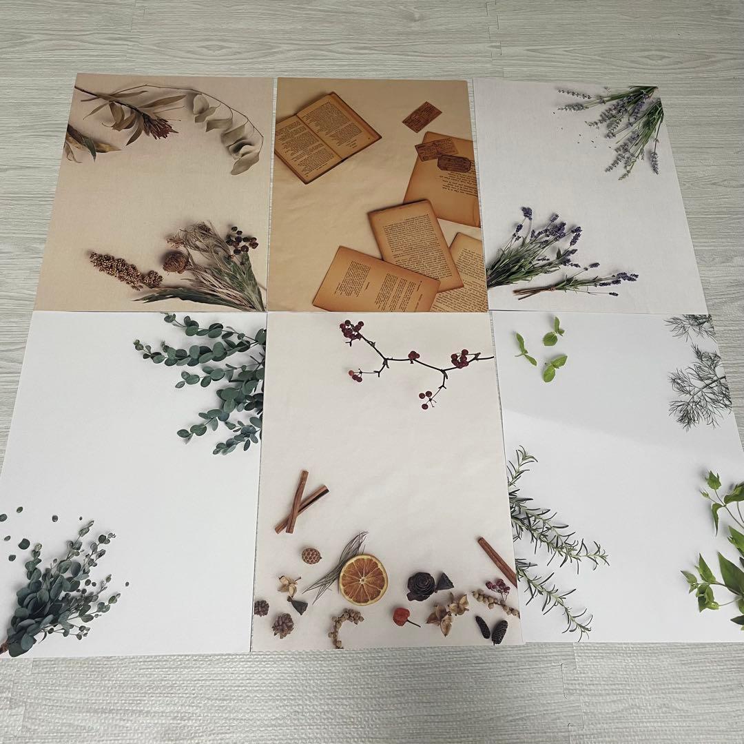 Foldio3 へーローバー ＋約1.7万円相当の 撮影小道具 背景シートセット