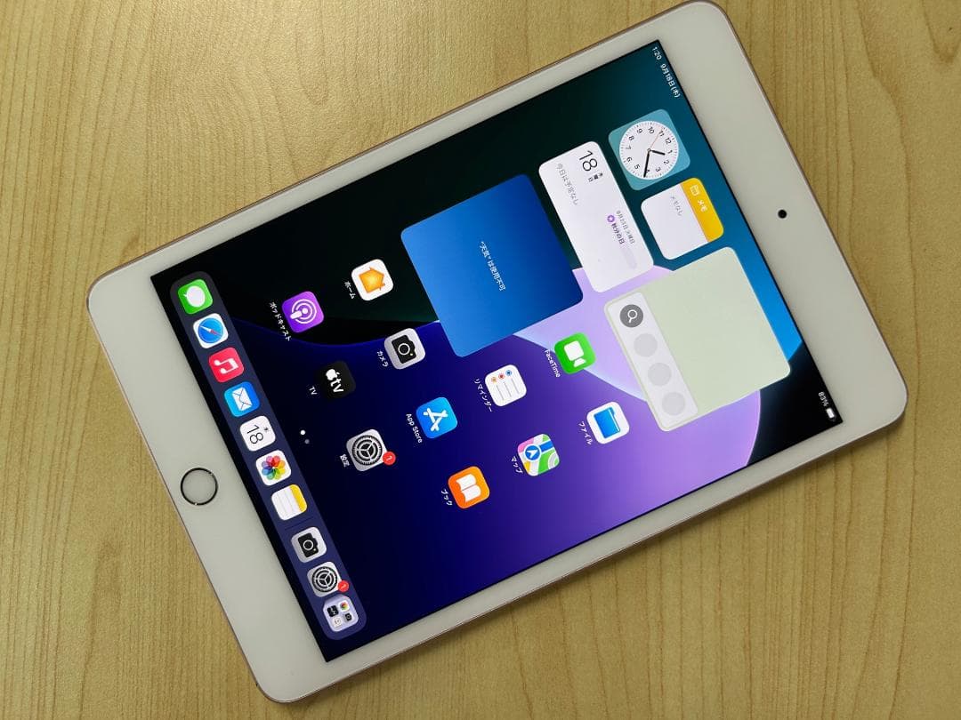 iPad mini (第5世代) 64GB Wi-Fi モデル (D3)