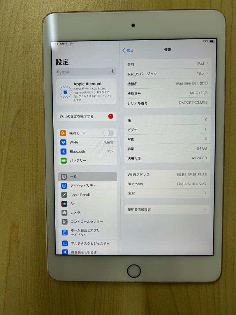 iPad mini (第5世代) 64GB Wi-Fi モデル (D3)