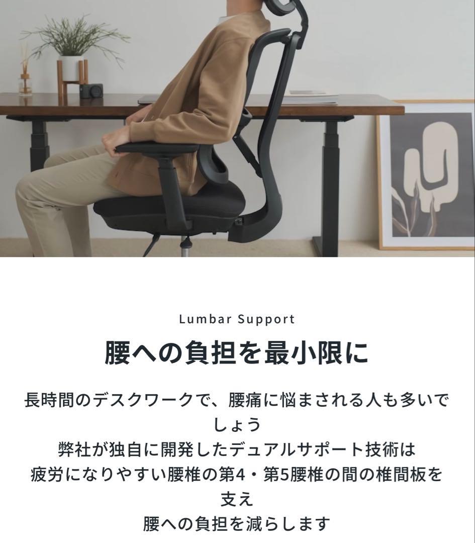 【美品】THE ERGORISM PRO 多機能ワークチェア