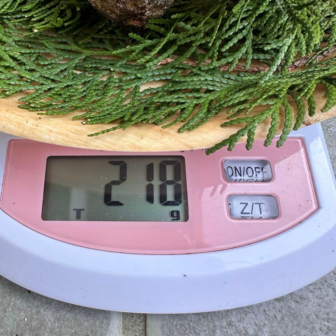 信州産松茸218g【訳あり】