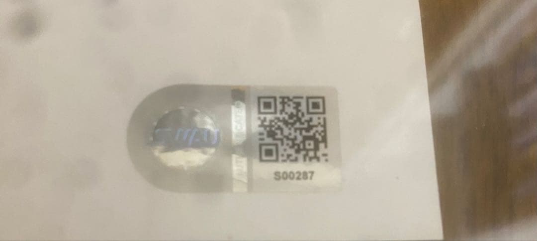 MEGAN autograph 直筆サイン ミニポスター