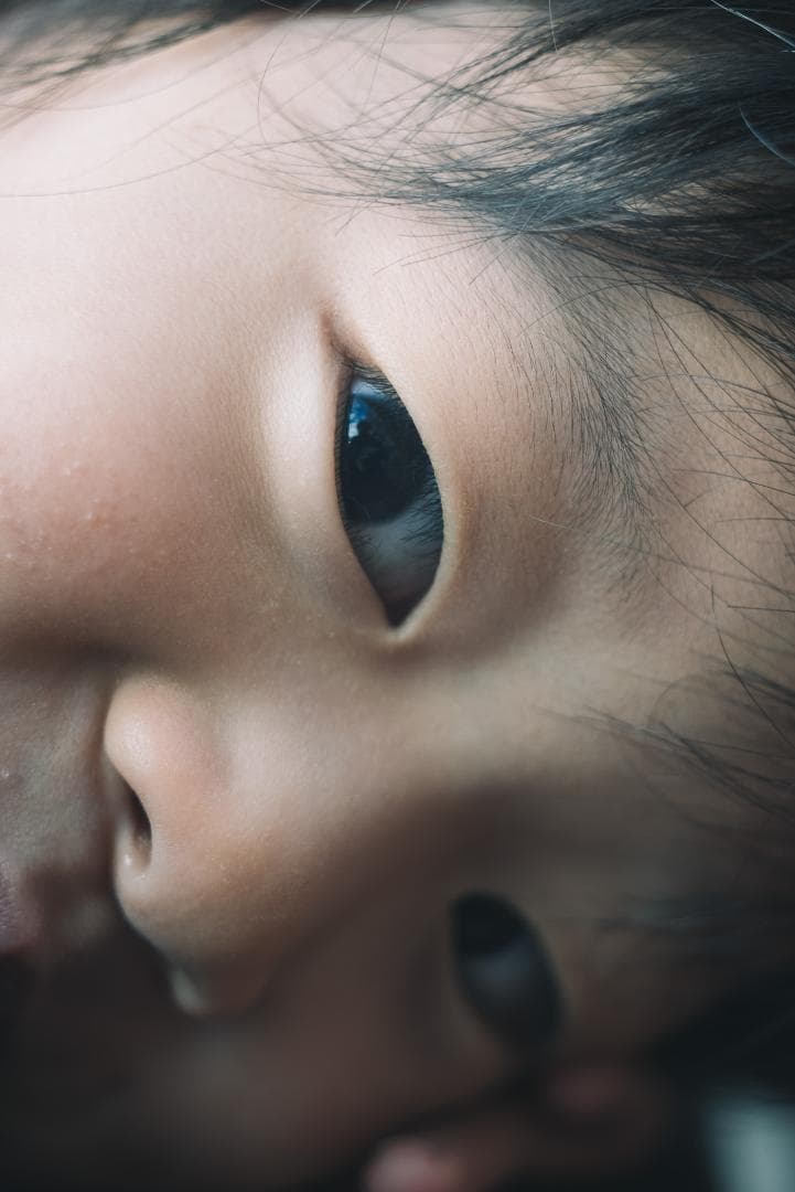 mauLR様　Leica Elmar 65mm F3.5 Visoflex