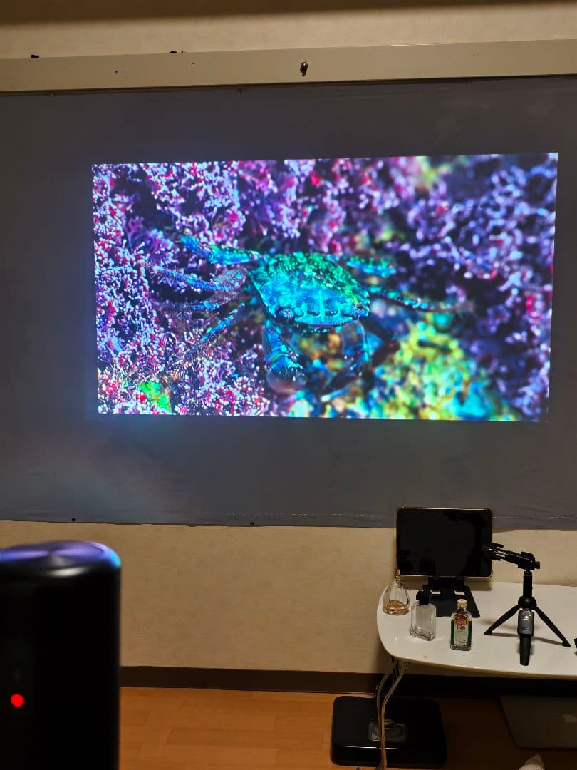 プロジェクター Nebula capsule 2