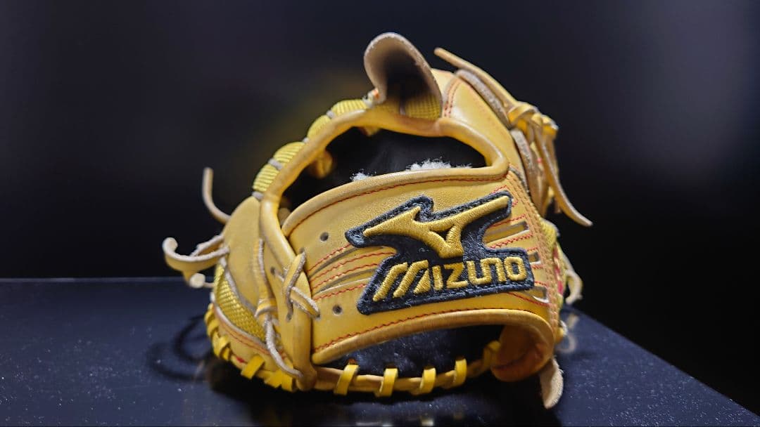 ミズノプロ　軟式投手用オーダーグラブ