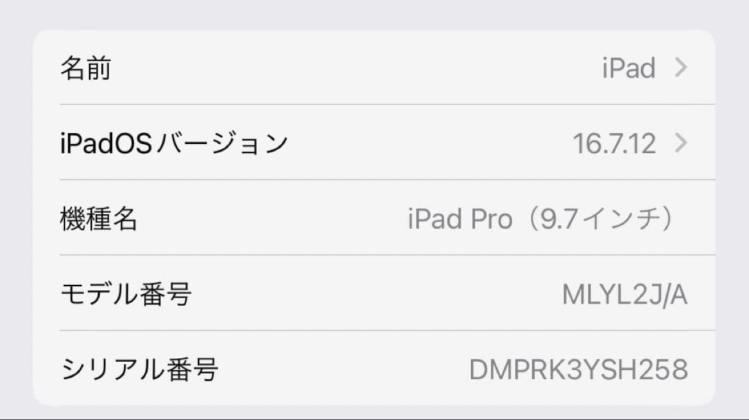 Apple iPad Pro 9.7インチ(第一世代)セルーラーモデル