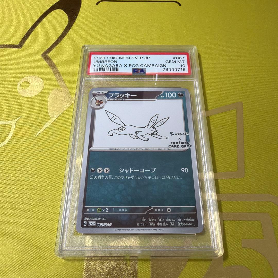 2023 ポケモンカード ブラッキー PSA 10