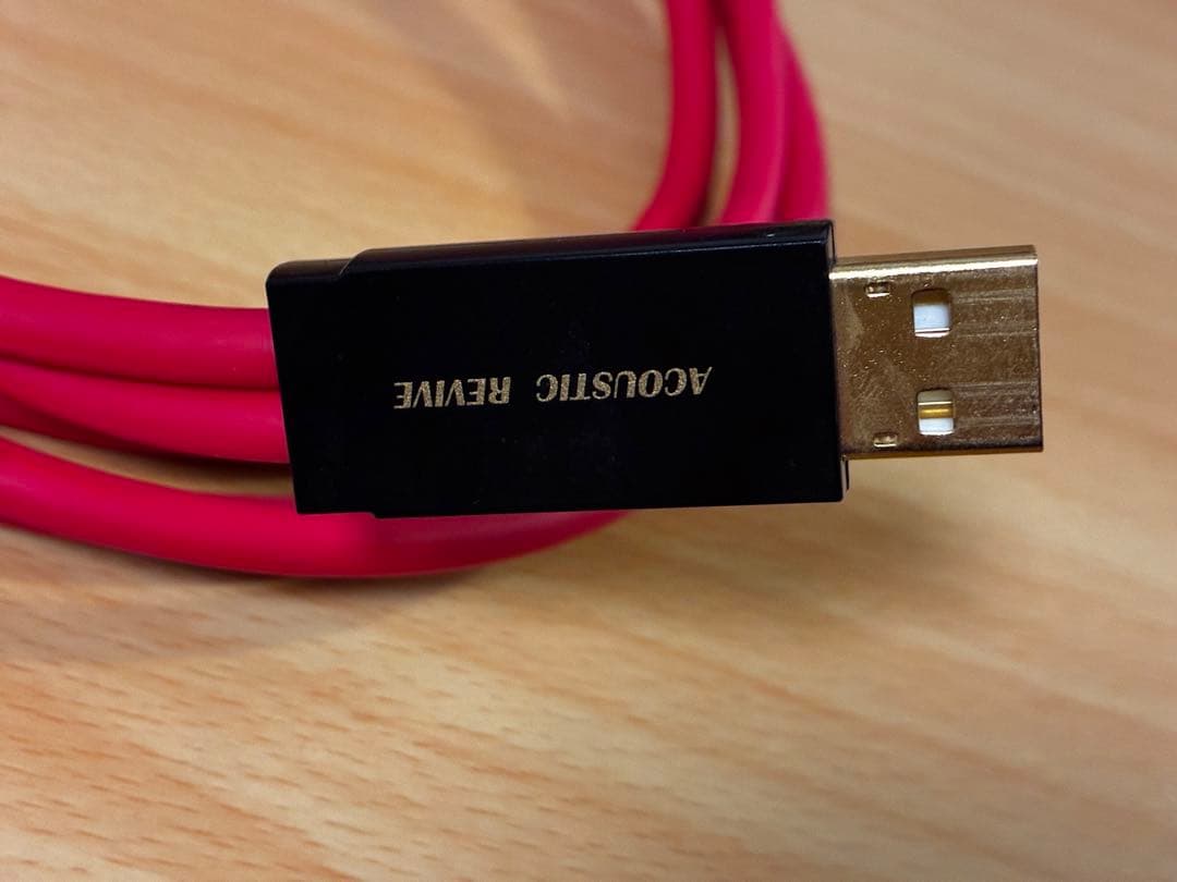 Acoustic Revive　R-AU1-PL 1m