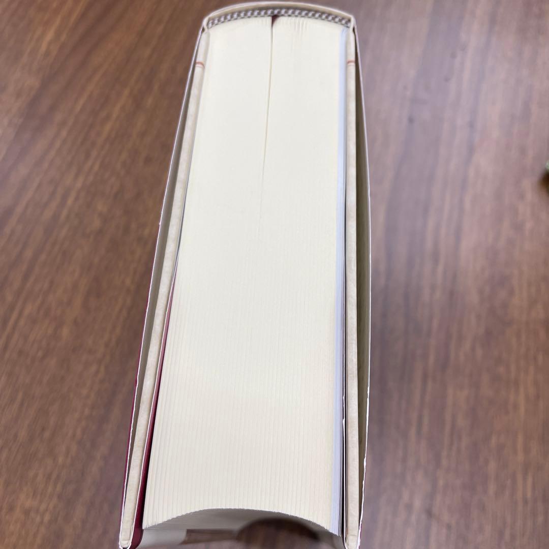 10241 ほぼ新品ピエロ・デッラ・フランチェスカ《キリストの鞭打ち》の謎を解く