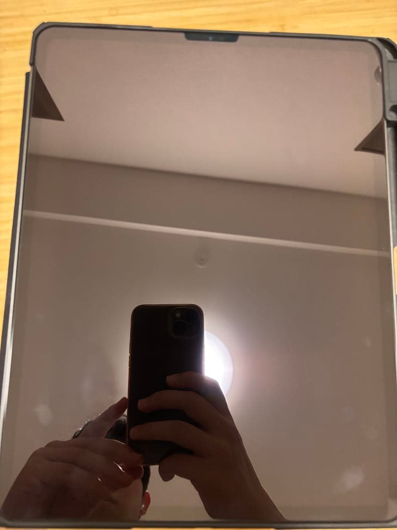 iPad Pro (12.9インチ) 第3世代 256GB