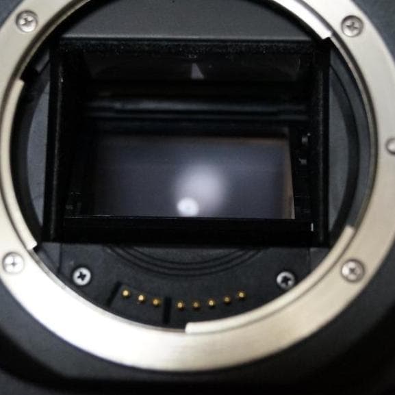 CANON EOS55 35mmフイルムカメラ　バッテリーパック付き