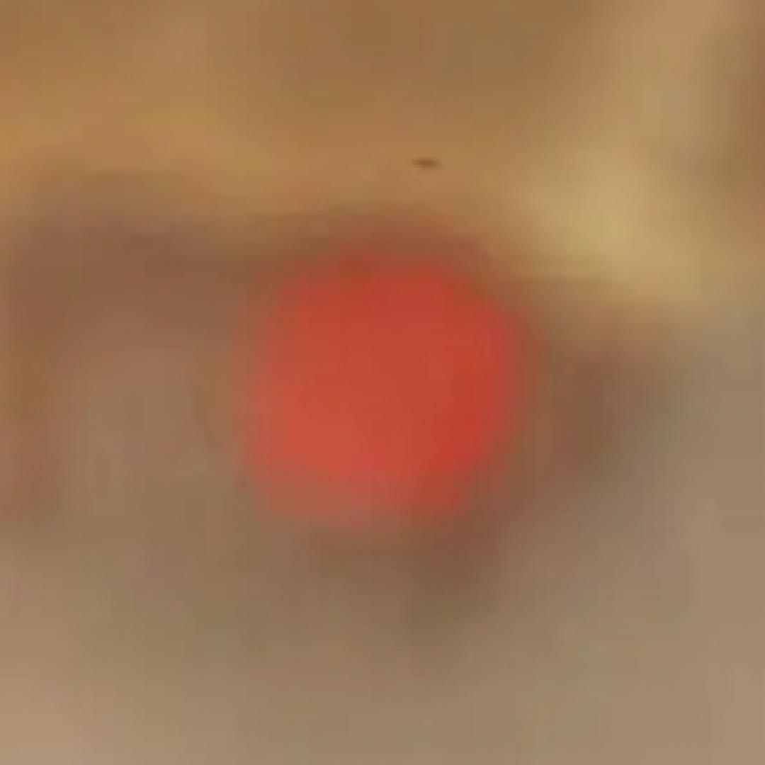 リコー　RICOH AUTO HALF SE