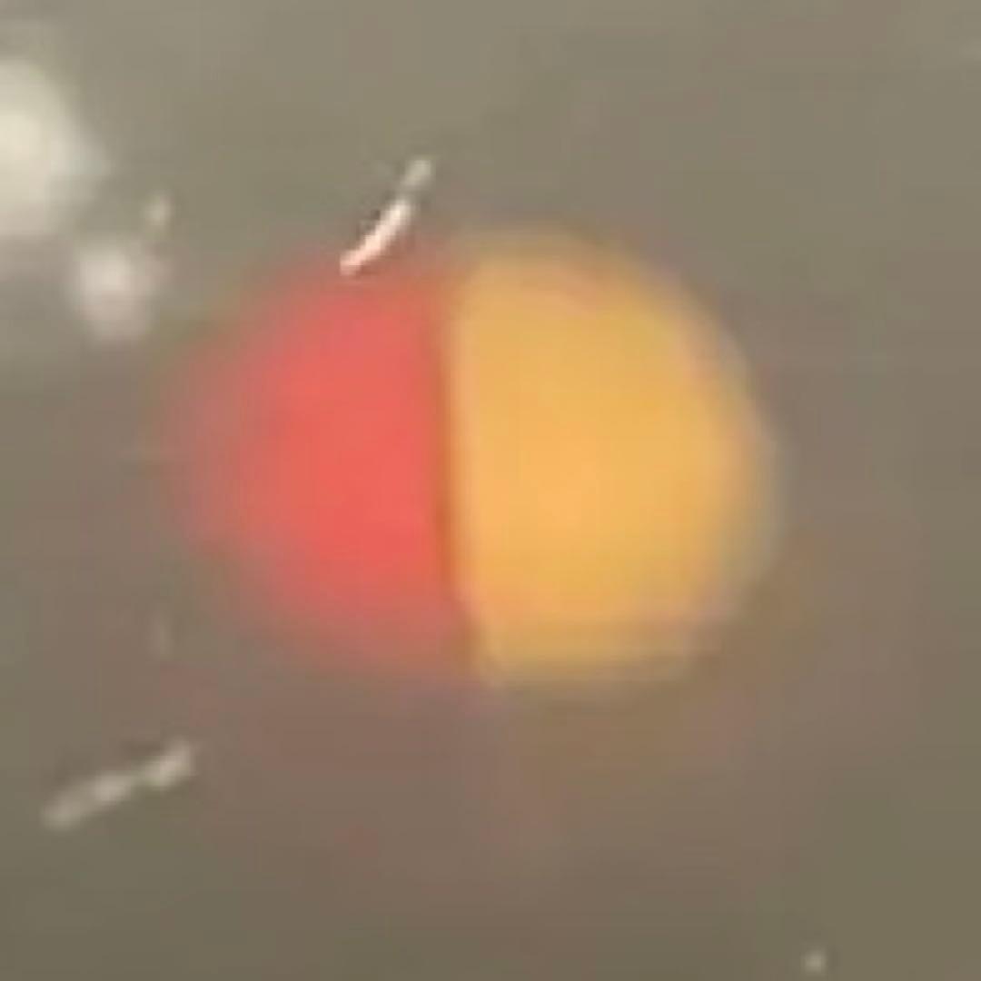 リコー　RICOH AUTO HALF SE