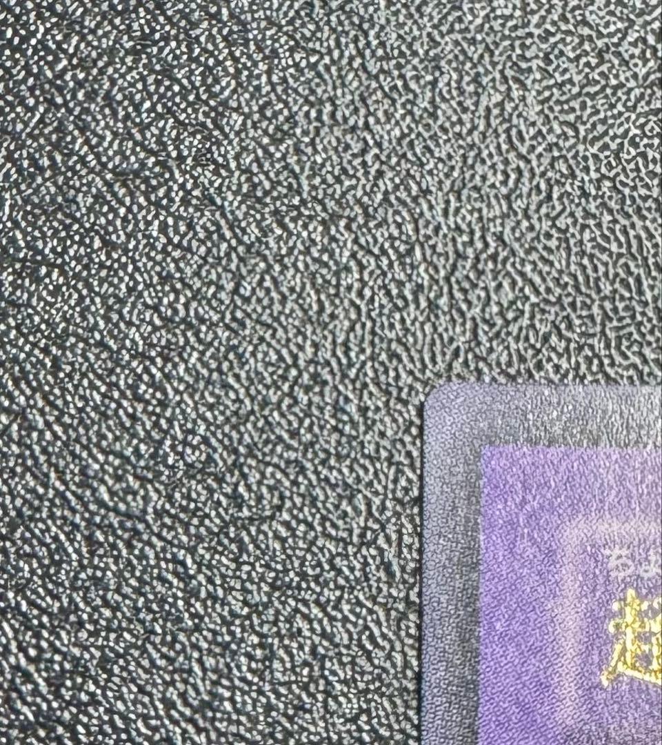 超魔導剣士ブラックパラディン/魔法使い族/ 遊戯王カード/レリーフ