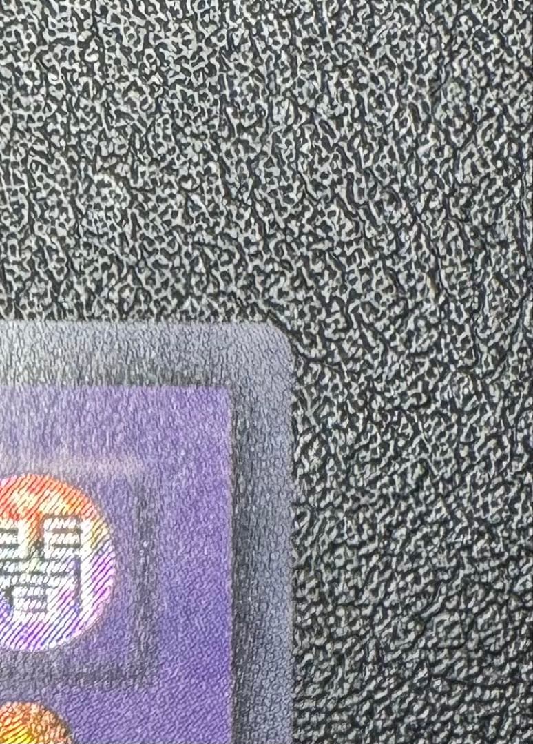 超魔導剣士ブラックパラディン/魔法使い族/ 遊戯王カード/レリーフ