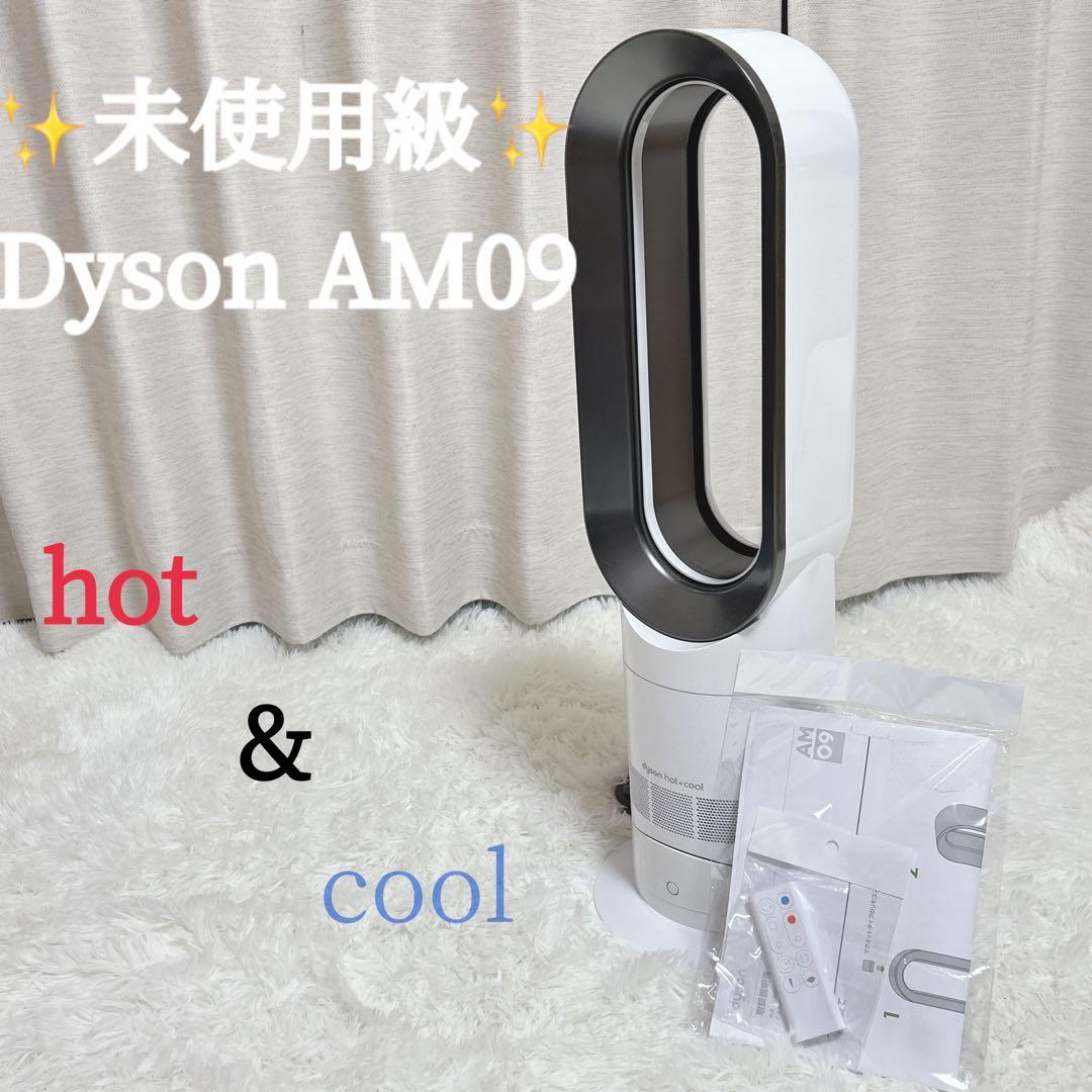 【未使用級】Dyson★AM09★hot&cool★セラミックファンヒーター★