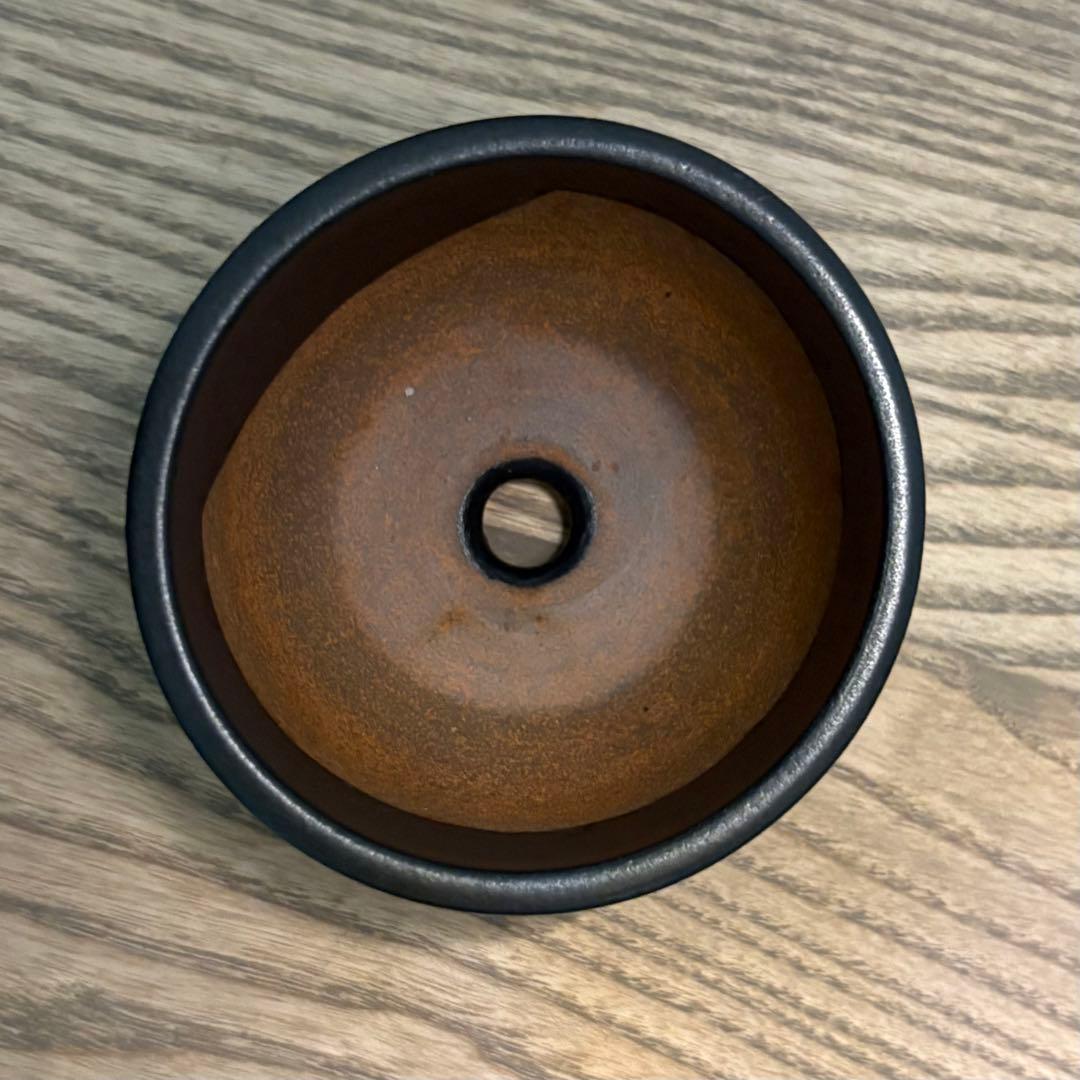 早い者勝ち ボタブロ限定50個 みやび鉢＋おまけ鉢