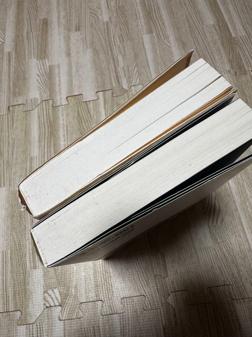 H*T様 絶版 トランサーフィン ヴァジム・ゼランド 4冊 まとめ売り