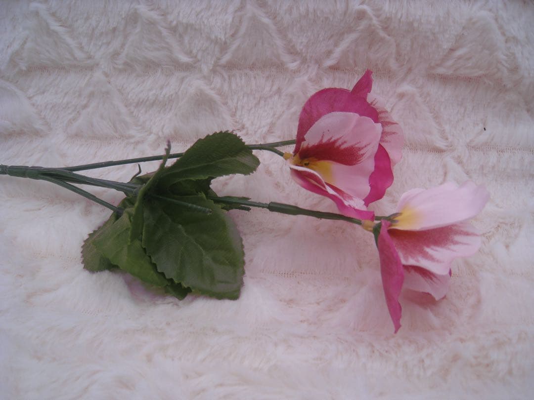 Canon IXY 910 IS シルバー バッテリー